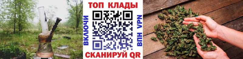 Магазины продажи наркотиков Дорогобуж MEGA зеркало  ГАШ  Канабис  COCAIN 