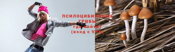 spice Михайловка