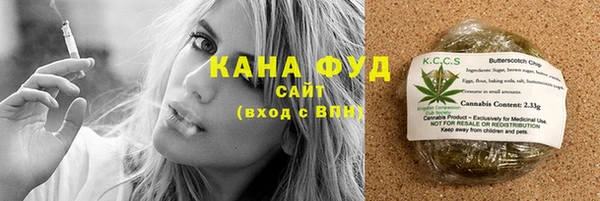МДПВ Михайлов