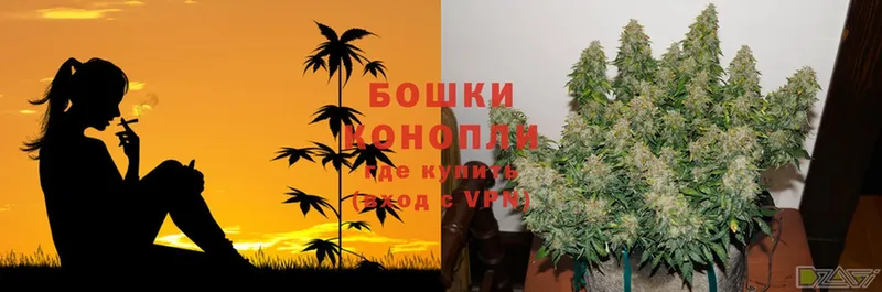 мега ссылка  Дорогобуж  Шишки марихуана OG Kush 